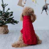 Maglioncino "Red Elegance" a Treccia - Fatto a mano in Lana Merino - per cani di piccola taglia