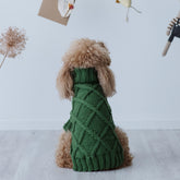 Maglioncino "Cozy Green" Punto Rombi - fatto a mano in Lana Merino - per cani di piccola taglia