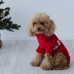 Maglioncino "Pecorelle" Rosso | Eccellenza Artigianale in Lana Merino per Cani di Taglia Medio-Piccola