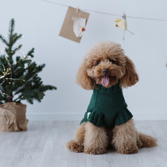 Maglioncino "Pecorelle" Verde | Eccellenza Artigianale in Lana Merino per Cani di Taglia Medio-Piccola