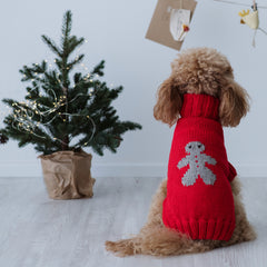 Maglioncino "Mr. Ginger" Rosso | Fatto a mano in Lana Merino per Cani di Taglia Medio-Piccola