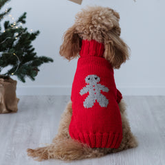 Maglioncino "Mr. Ginger" Rosso | Fatto a mano in Lana Merino per Cani di Taglia Medio-Piccola