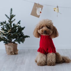 Maglioncino "Mr. Ginger" Rosso | Fatto a mano in Lana Merino per Cani di Taglia Medio-Piccola