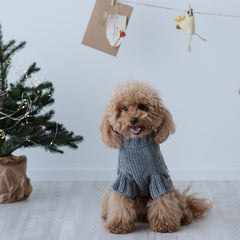 Maglioncino "Pecorelle" Grigio | Eccellenza Artigianale in Lana Merino per Cani di Taglia Medio-Piccola