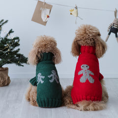 Maglioncino "Mr. Ginger" Verde | Fatto a mano in Lana Merino per Cani di Taglia Medio-Piccola