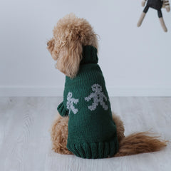 Maglioncino "Mr. Ginger" Verde | Fatto a mano in Lana Merino per Cani di Taglia Medio-Piccola