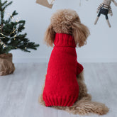 Maglioncino "Classic Red" Fatto a Mano in Lana Merino - per cani di piccola taglia