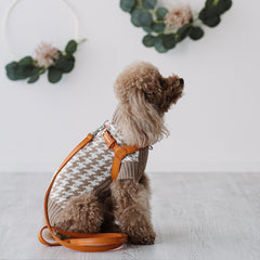 Combo Pettorina e Guinzaglio Siena in pelle Arancione - Eleganza Artigianale Made in Italy