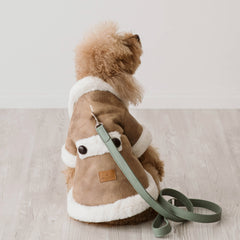 Montoncino Paddington| Stile Ecologico per Barboncini