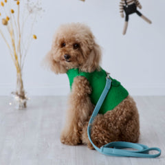 Grace - Casentino Harness