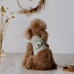 Theodore - Tweed Harness