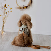 Theodore - Tweed Harness