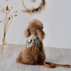 Theodore - Tweed Harness