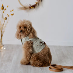 Theodore - Tweed Harness
