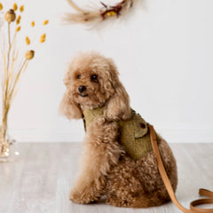 Terence - Tweed Harness