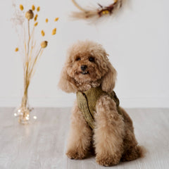 Terence - Tweed Harness