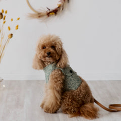 Harriet - Tweed Harness