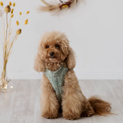 Harriet - Tweed Harness