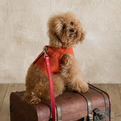 Casentino wool harness