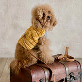 Pettorina in Eco-Pelliccia a Righe per Barboncini | Rosso, Celeste, Giallo| Abbigliamento per Cani