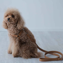 Pettorina Siena in pelle Cammello - Eleganza Artigianale Made in Italy