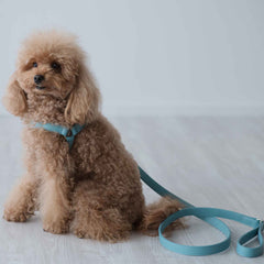 Pettorina Siena in pelle Celeste - Eleganza Artigianale Made in Italy