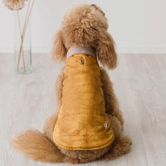 Piumino Oxford in Ecopelle Gialla Invecchiata | Un Classico per Barboncini