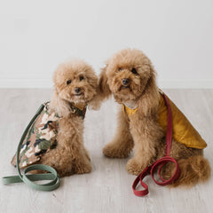 Trapuntino Windsor Mimetico | Extra Light