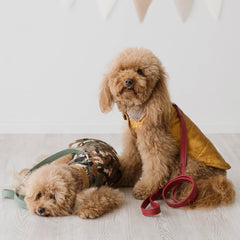 Trapuntino Windsor Mimetico | Extra Light