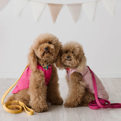 Piumino Chelsea Fucsia | Extra Light