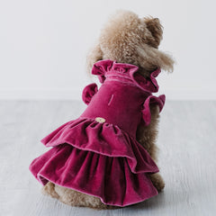 Velvet Dream | Cappottino di Velluto Rosa con Rouches | Abbigliamento per Barboncini