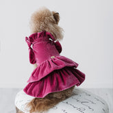 Velvet Dream | Cappottino di Velluto Rosa con Rouches | Abbigliamento per Barboncini