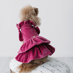 Velvet Dream | Cappottino di Velluto Rosa con Rouches | Abbigliamento per Barboncini