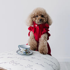 Velvet Dream | Cappottino di Velluto Rosso con Rouches | Abbigliamento per Barboncini