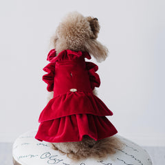 Velvet Dream | Cappottino di Velluto Rosso con Rouches | Abbigliamento per Barboncini