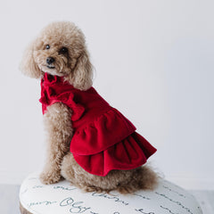 Velvet Dream | Cappottino di Velluto Rosso con Rouches | Abbigliamento per Barboncini