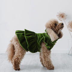 Velvet Dream | Cappottino di Velluto Verde con Rouches | Abbigliamento per Barboncini