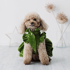 Velvet Dream | Cappottino di Velluto Verde con Rouches | Abbigliamento per Barboncini