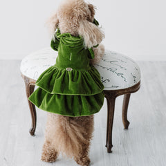 Velvet Dream | Cappottino di Velluto Verde con Rouches | Abbigliamento per Barboncini