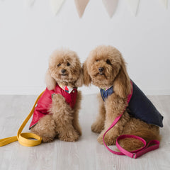 Piumino Scarlet | Extra Light