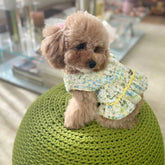 Pettorina C-hanel Verde | Confort e Stile per il tuo Barboncino