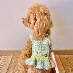 C-hanel harness with flounce | green