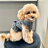 Pettorina C-hanel Nero con Balza | Eleganza e Comfort per il Tuo Barboncino