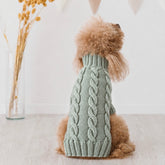 Maglioncini Petit Pastel | Fatto a mano in lana merino | Barboncino