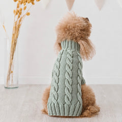 Maglioncini Petit Pastel | | Fatto a mano in lana merino | Barboncino