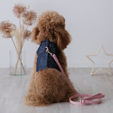 Pettorina Sartoriale in Jeans per Barboncini | Eleganza e Comfort per Cani di Piccola taglia