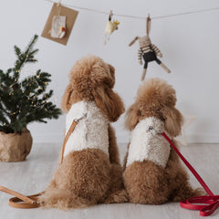 Pettorina Teddy per Cani - Design Morbido e Confortevole per Barboncino