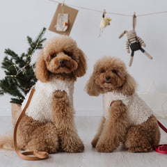 Pettorina Teddy per Cani - Design Morbido e Confortevole per Barboncino
