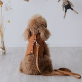 Pettorina Piumino per cani | Eleganza e Confort per Barboncini