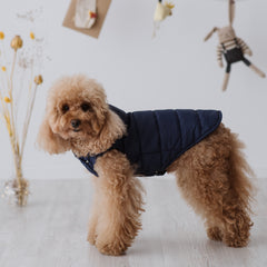 Piumino Classico per Barboncino e Cani di Taglia Media-Piccola | Eleganza e funzionalità